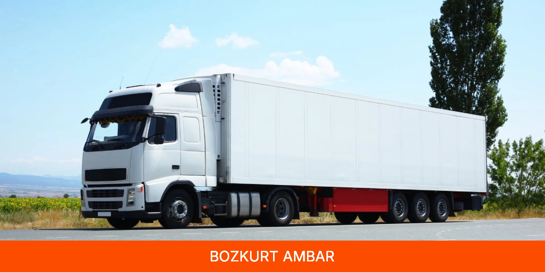 Bozkurt Ambar