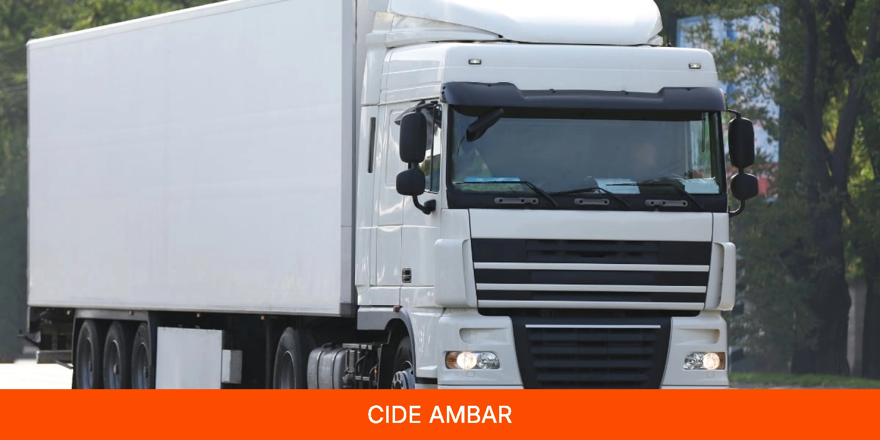 Cide Ambar
