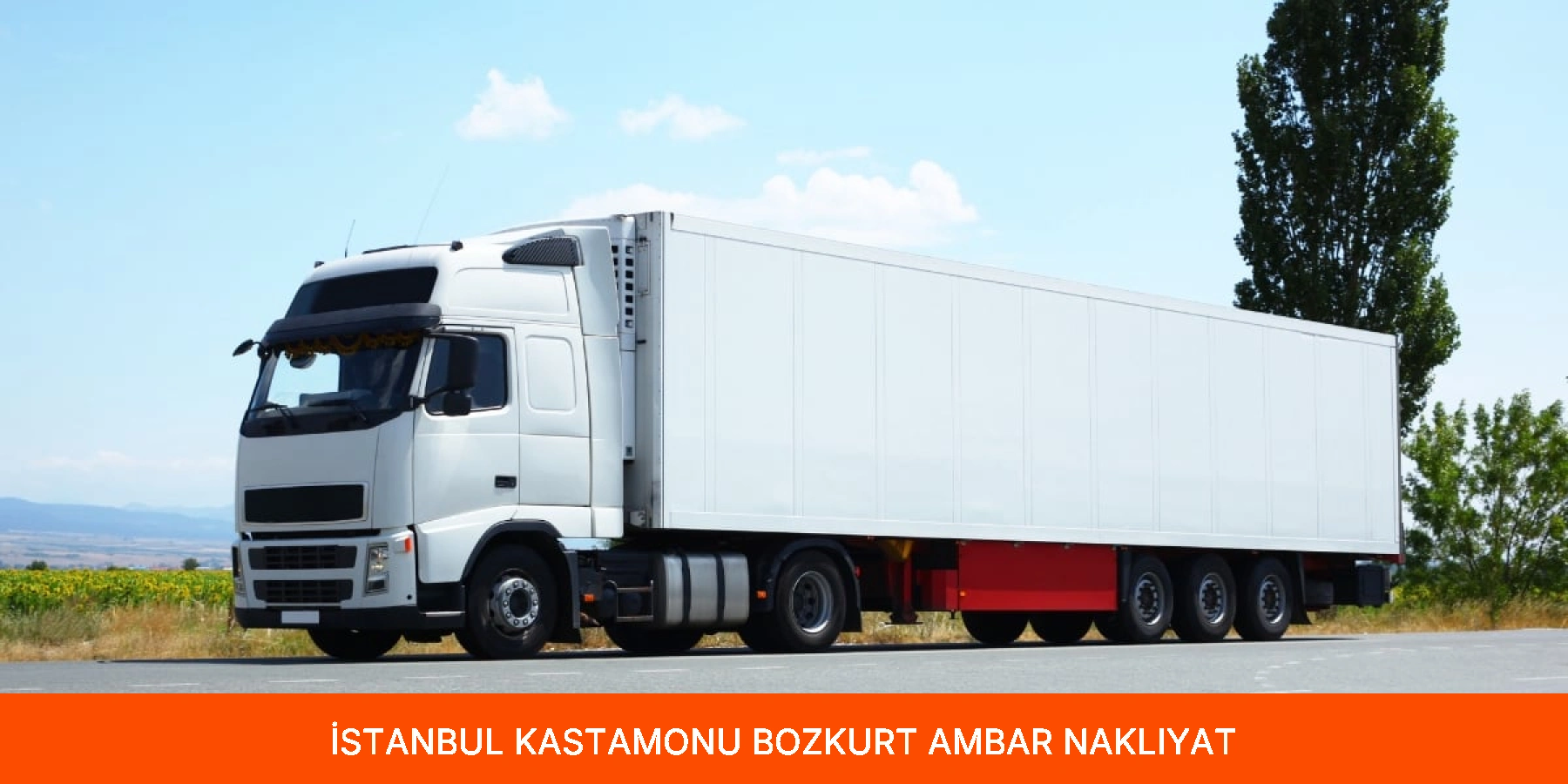 Bozkurt Ambar